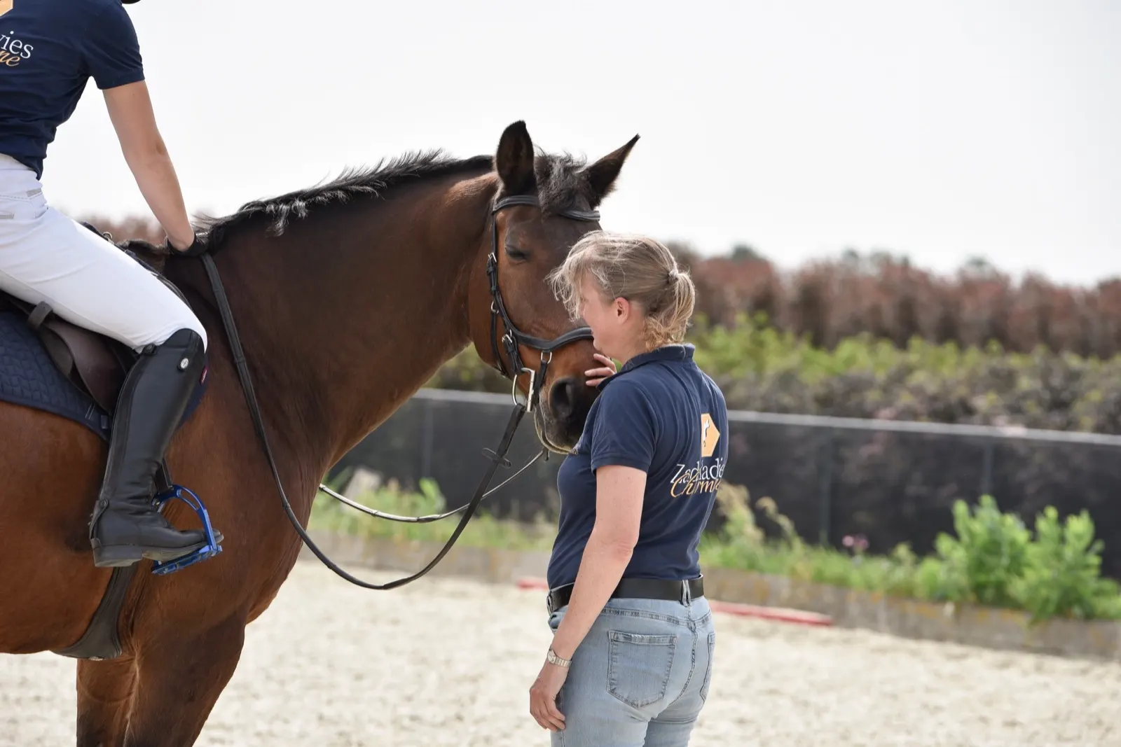 Zadelcontrole met ruiter te paard