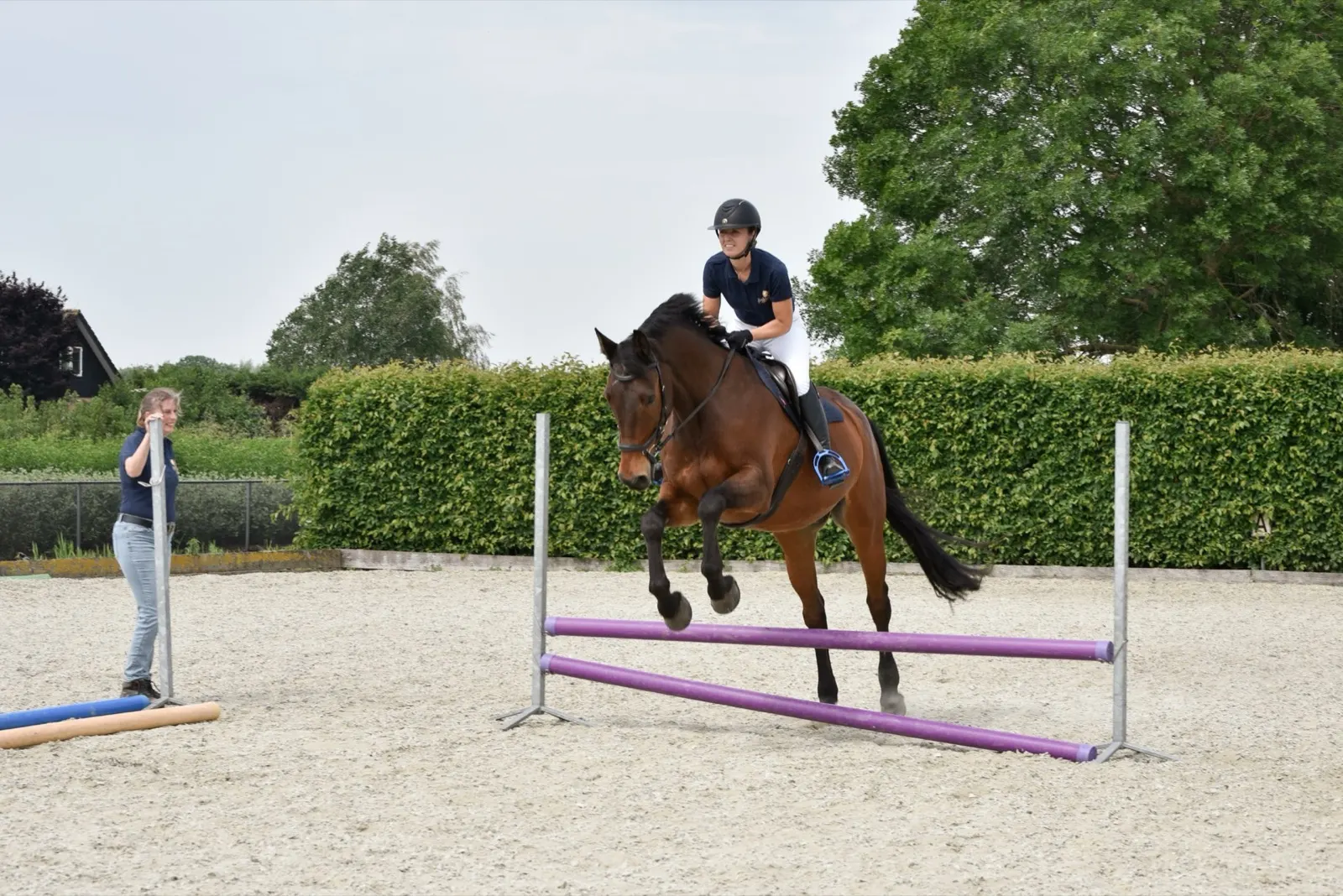 Springend paard met ruiter