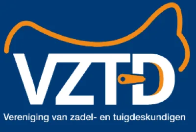 VZTD